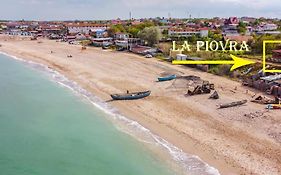 Piovra